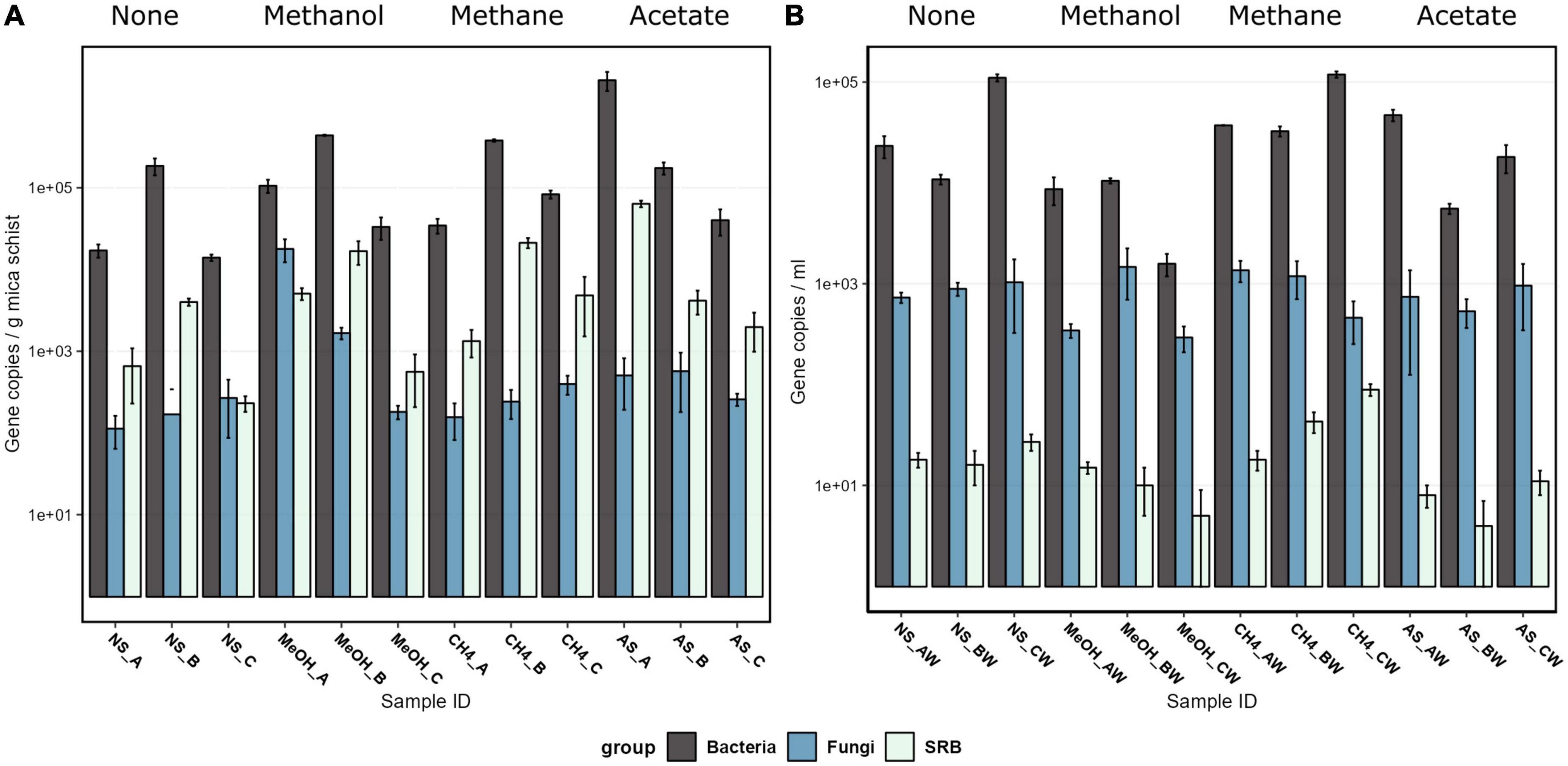 Implications of a short carbon pulse on biofilm formation on mica schist in microcosms with deep crystalline bedrock groundwater